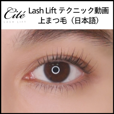 【【Cite】Lash Liftテクニック動画 上まつ毛編－日本語版